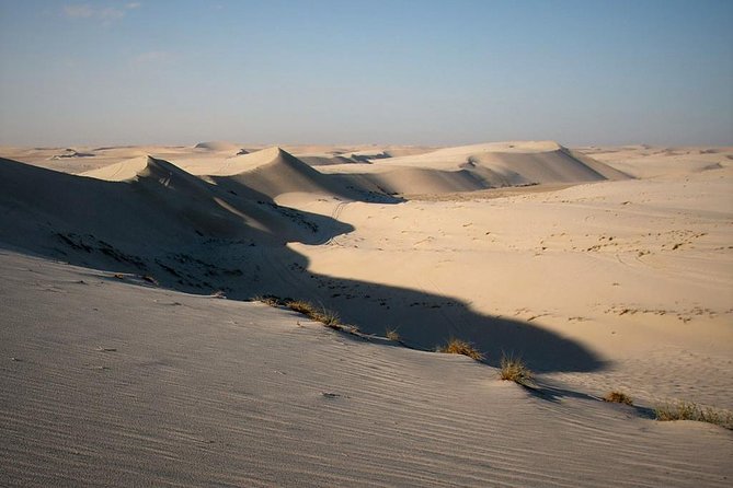 Desert safari, Dune bashing, sandboarding, camel, ATV Option - Sandboarding down the dunes