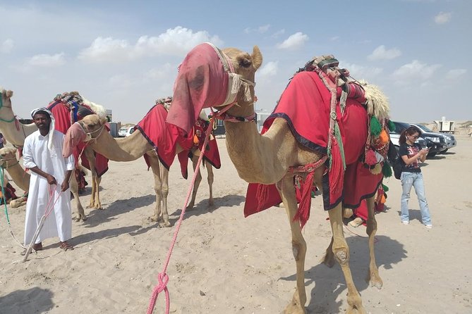Desert safari, Dune bashing, sandboarding, camel, ATV Option - Timing, price, and overall value