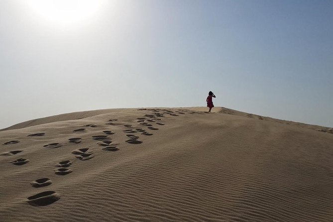 Desert safari, Dune bashing, sandboarding, camel, ATV Option - Choosing the right guide and group setup