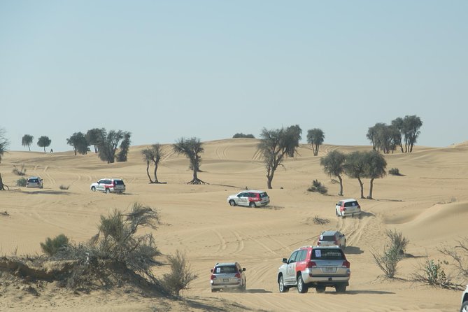 Desert Safari in Dubai with full package - no hidden cost - The 4x4 ride is the main reason to go