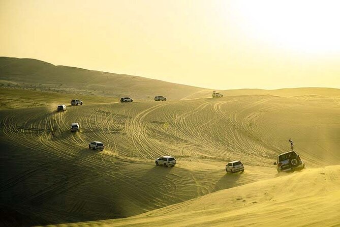 Desert safari Inland Sea Private Tour - The camel ride and extra cost