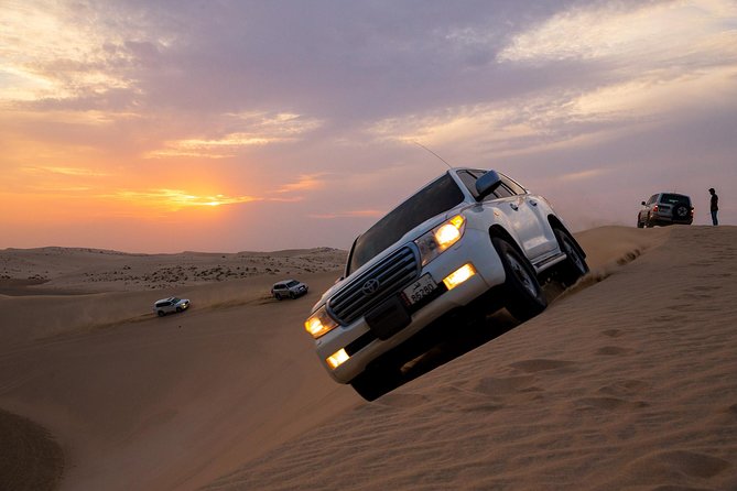 Desert Safari & Keshta | (Private) - Sealine Beach: camels, falcons, and the useful stop
