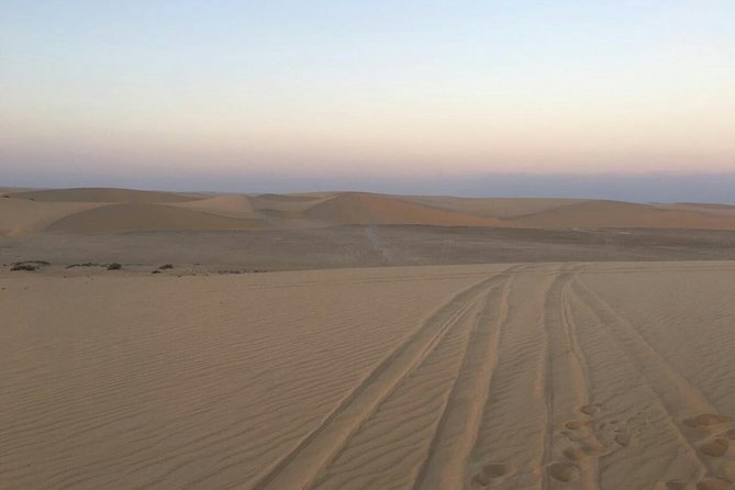 Desert Safari – Morning, Afternoon, Sunrise & Sunset Options - What the $45.57 price really covers