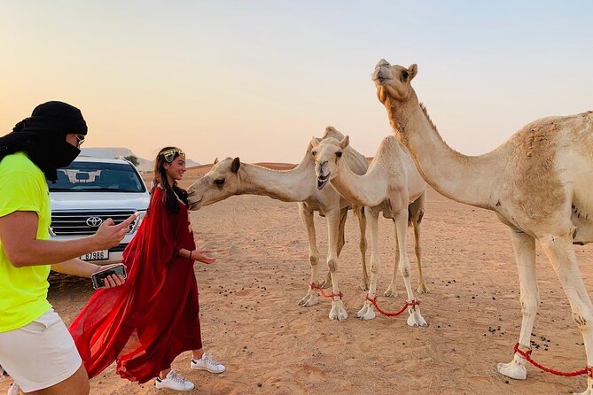 Desert Safari, Open Desert Quad Bike Experience with BBQ Dinner - Who will get the most from this safari?