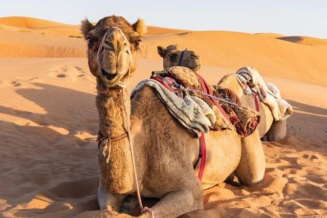 Desert Safari Private - Wahiba Sands and the classic Oman desert