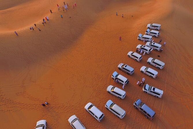 Desert Safari Qatar - Camel activities and the extra-cost details