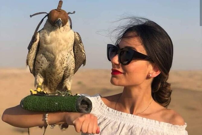 Desert Safari Qatar - Is $85 good value for four hours?