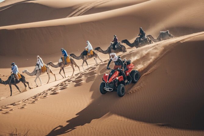 Desert Safari Qatar - Should you book Desert Safari Qatar?