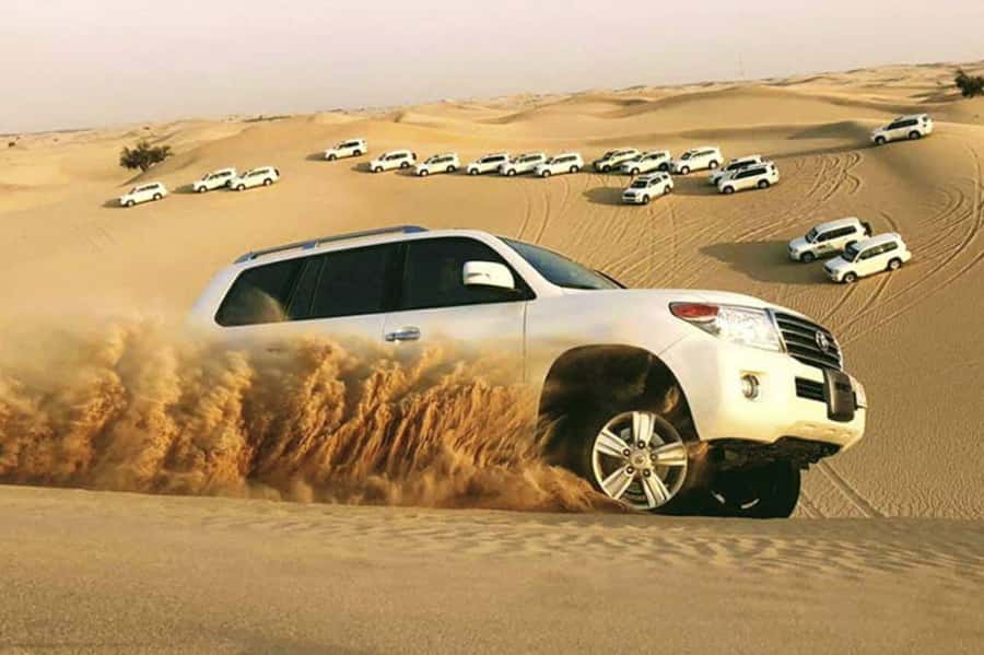 Desert Safari, Quad Bike, Camel Ride, Falcon & Sandboarding - Quad biking across the Mesaieed dunes
