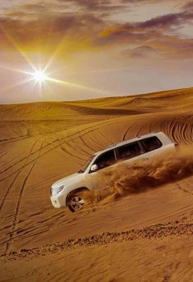 Desert Safari, Quad Bike, Camel Ride, Falcon & Sandboarding - What the guide adds to the experience