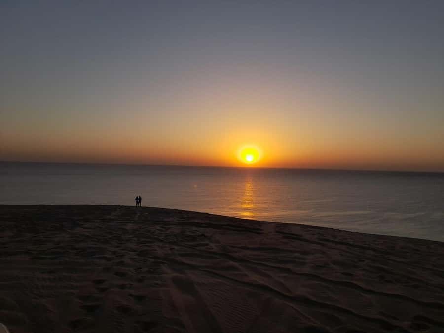 Desert Safari, Quad Bike, Camel Ride, Falcon & Sandboarding - Comfort, timing, and who should book