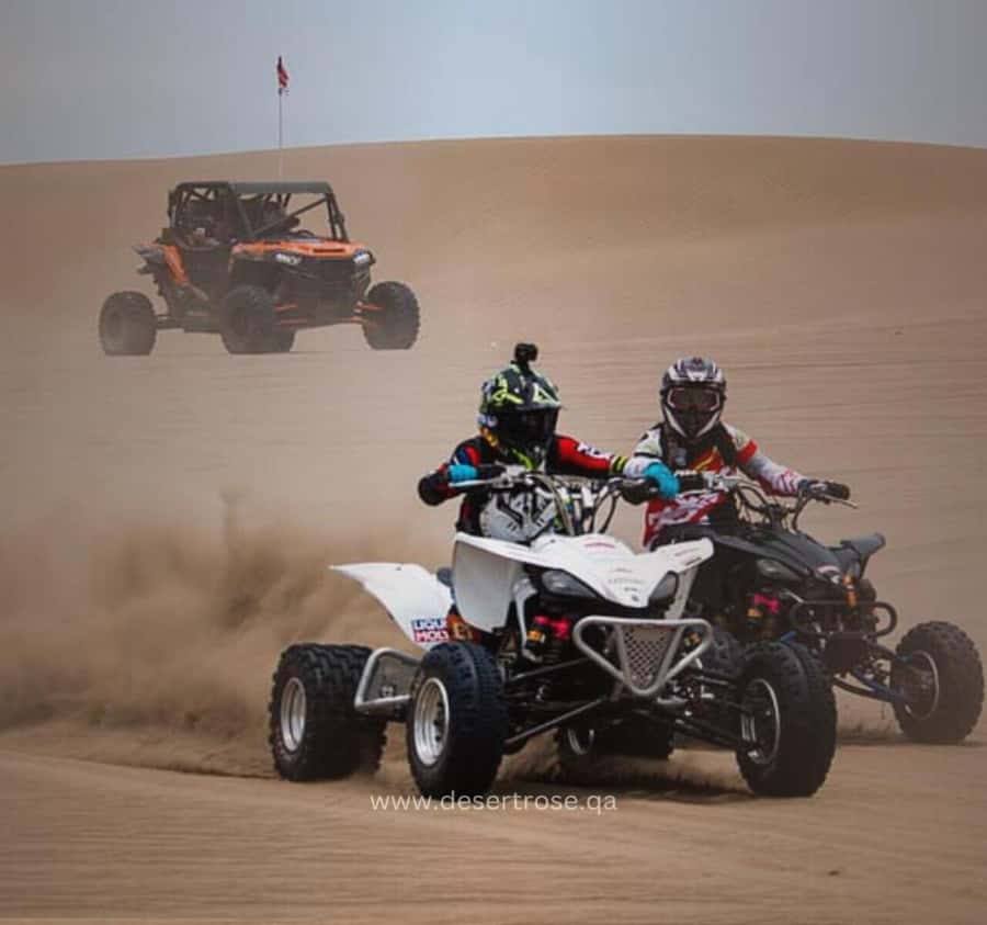 Desert Safari, Quad Bike, Camel Ride, Falcon & Sandboarding - The ride from Doha to Mesaieed