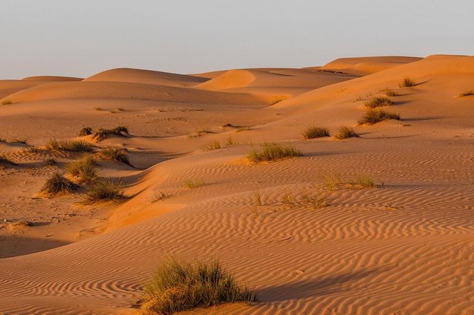 Desert Safari Sharing Tours - The Road to Wadi Bani Khalid
