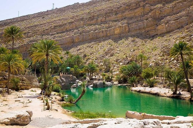 Desert Safari Sharing Tours - Booking Details That Matter