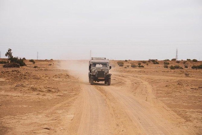 Desert Safari Tour Package - Sunset, dinner, and a night beneath the desert sky
