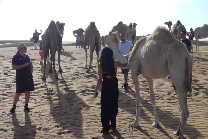 Desert Safari Tour, Quad Bike with BBQ Dinner & Show from Dubai - Tanoura, belly dance, and fire shows close the night