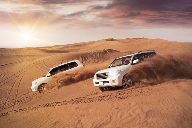 Desert Safari with BBQ Dinner from Dubai - Key points to know before you book
