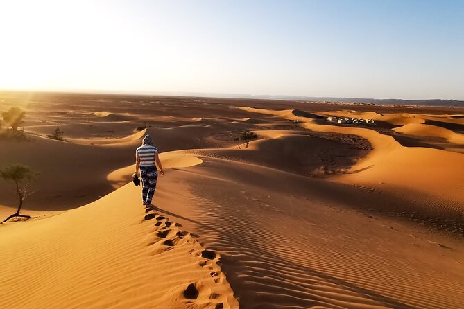 Desert Safari With BBQ Dinner, Quad Ride And And Sand-boarding - Arabic coffee and a camp dinner in Al Awir