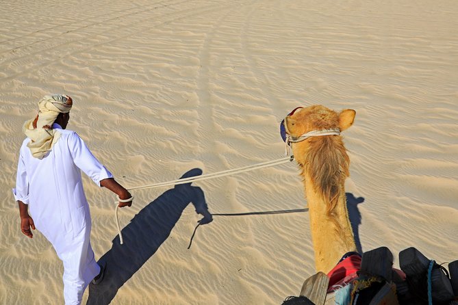 Desert Safari with Camel Ride, Sand Boarding & Inland Sea Tour in Doha - Who will enjoy this Doha desert trip?