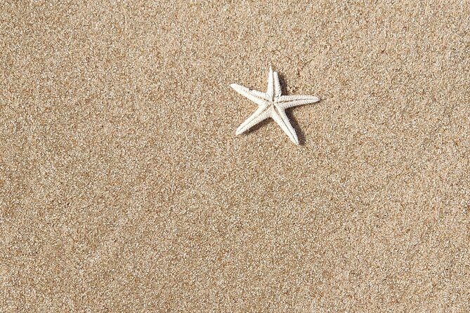 Desert Safari with Sandboarding and Inland Sea Private Tour - From Doha to the Sealine dunes