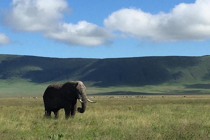 Discover The World's Top Best 4-day Tanzania Group Camping safari - A Full Day in Central Serengeti