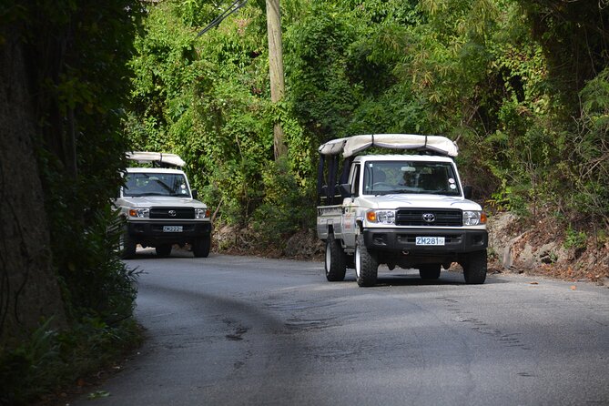 Discovery Safari - Key points to know before booking