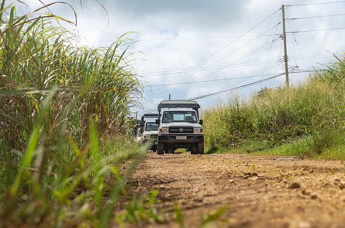 Discovery Safari - The ride between stops is part of the tour