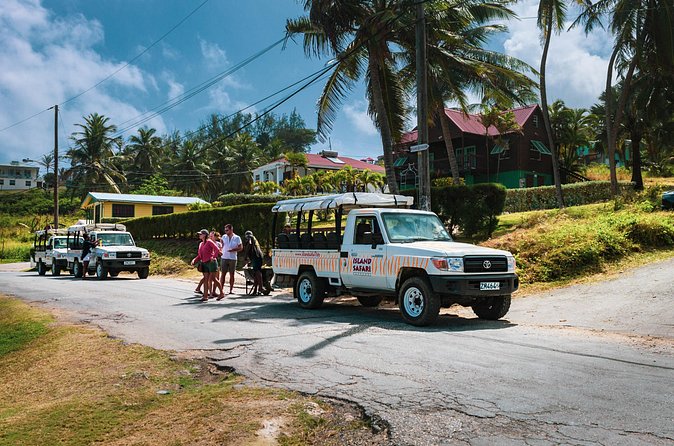 Discovery Safari - Bathsheba brings you down to the coast