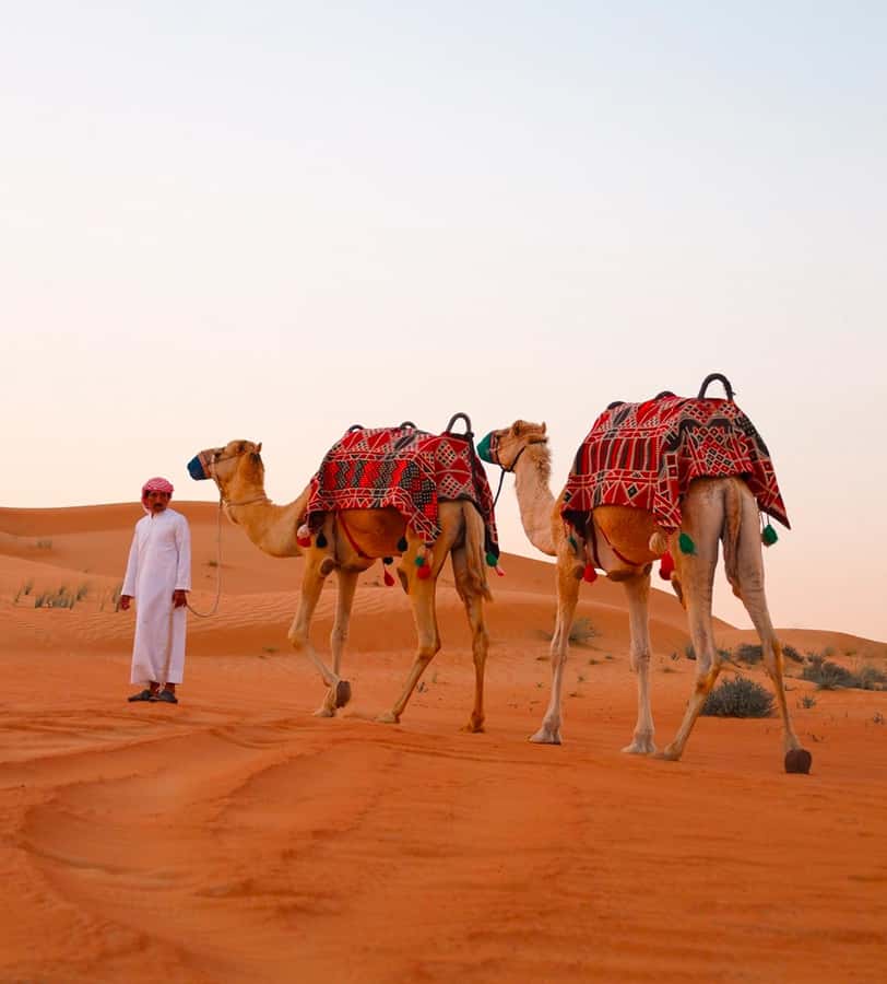 Doha: ATV/Desert Safari with Activities and Inland Sea Stop - Golden Dunes dune bashing