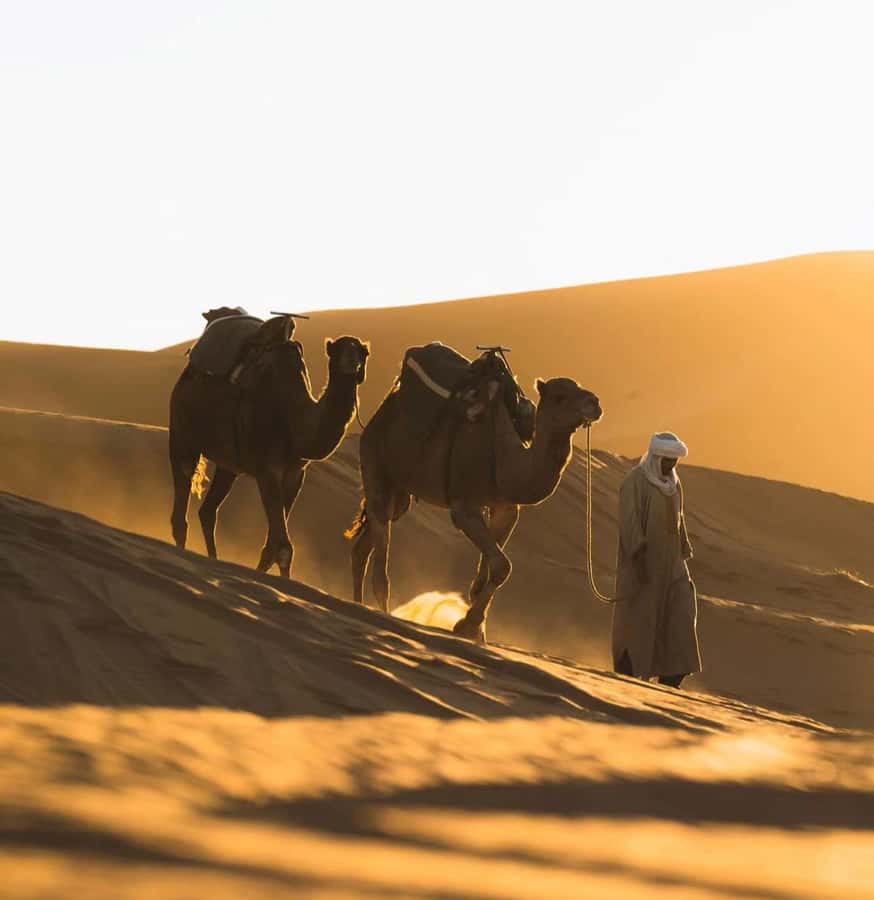 Doha: ATV/Desert Safari with Activities and Inland Sea Stop - Quad biking and camel ride options