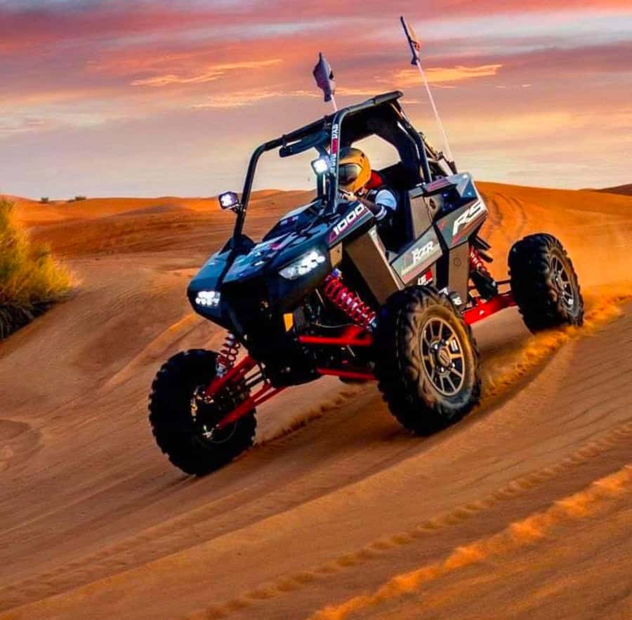 Doha: ATV Quad Bike and Buggy Desert Safari with Camel Ride - Key points at a glance