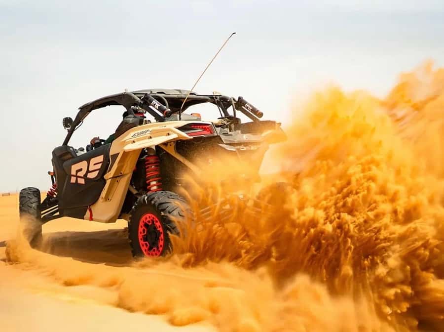 Doha: ATV Quad Bike and Buggy Desert Safari with Camel Ride - Who will enjoy this desert safari most?