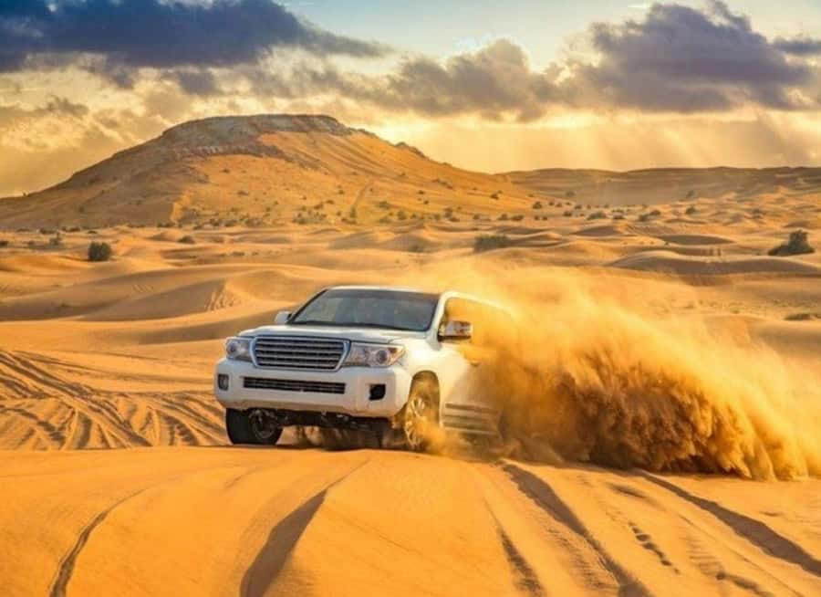 Doha: Budget Friendly Desert Safari,CamelRide & Sandboarding - The 4x4 ride across the golden dunes