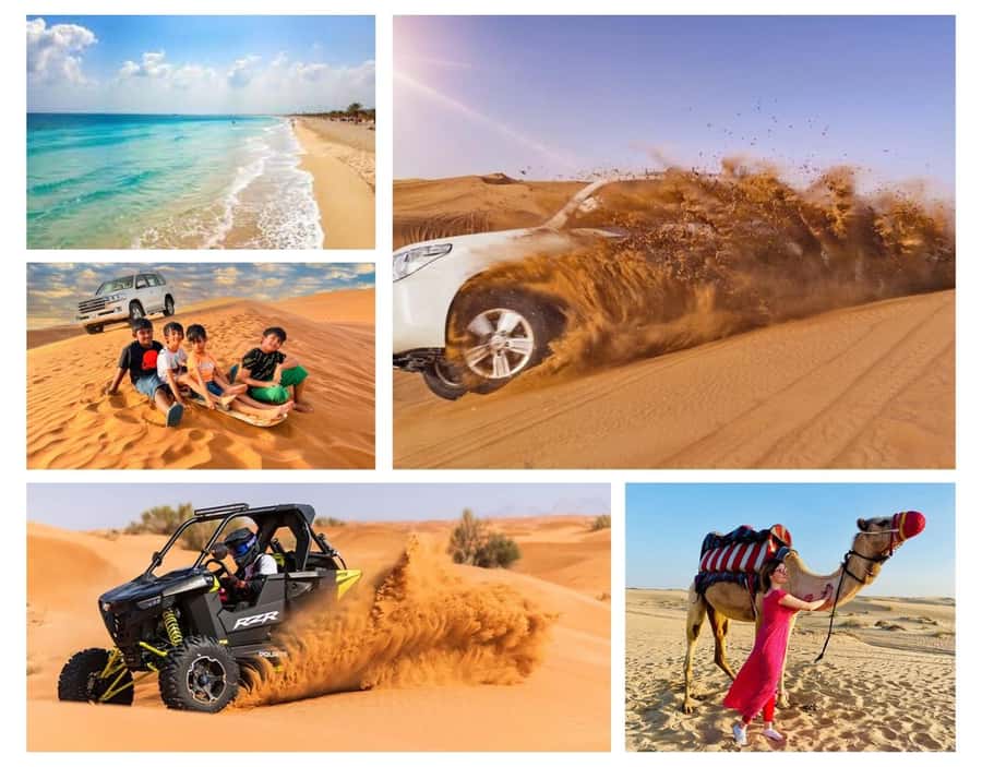 Doha: Budget Friendly Desert Safari,CamelRide & Sandboarding - Camel riding and a brief taste of desert travel