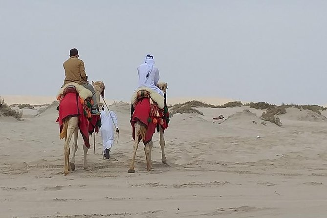 Doha Combo City And Half Day Desert Safari Tour No Hidden cost - The Pearl Island and Doha’s polished side