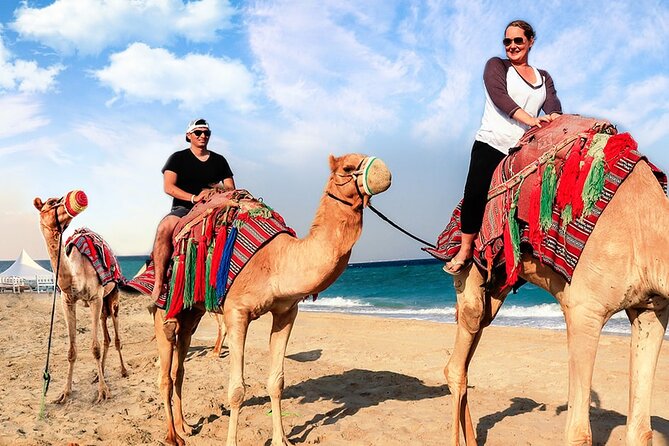 Doha Desert Safari Camel Ride, Sandboarding and Inland Sea - A short camel ride with a long cultural shadow