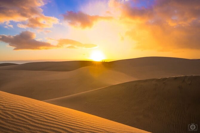 Doha Desert Safari Dune Bashing Camel Ride Sandboarding - Dune Bashing Across Qatar’s Southern Sands