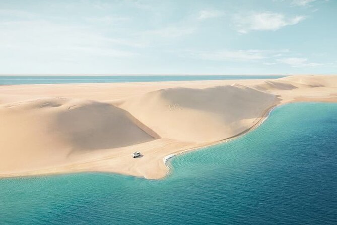 Doha: Desert Safari: Dune Bashing, Quad Bikes & Camel Rides - Camel photos and a short desert pause