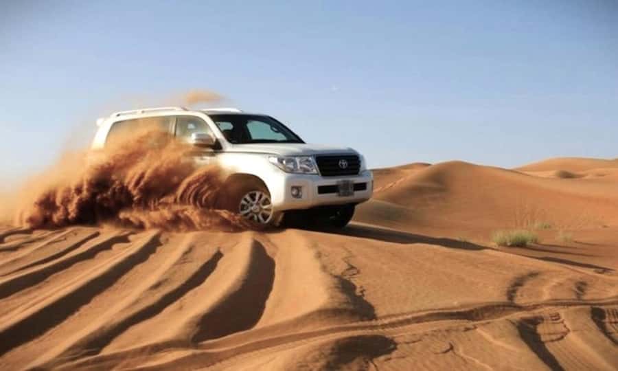Doha: Desert Safari, Dune Bashing, Sandboarding, Camel Ride - Bedouin camp, camels, and falcons