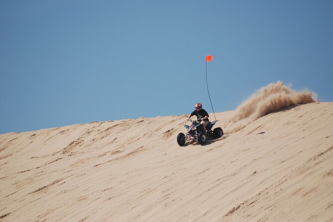 Doha Desert Safari Dune bashing,Sandboarding,CamelRide,Inland Sea - Camels, falcons, and optional extras