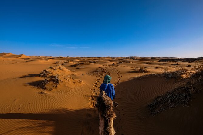 Doha Desert Safari Dune bashing,Sandboarding,CamelRide,Inland Sea - The guide makes the difference
