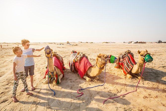 Doha Desert Safari: Dunebashing, Camel, Sandboarding & Inland Sea - A five-hour escape from Doha