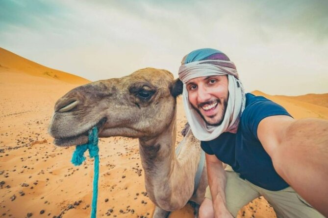 Doha Desert Safari Horse Riding, Camel Ride, ATVs & Inland Sea - One hour with Arabian horses at Sealine Beach
