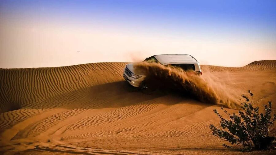 Doha: Desert Safari, Sandboarding, Camel Ride and Inland Sea - Why the Inland Sea makes this safari worthwhile