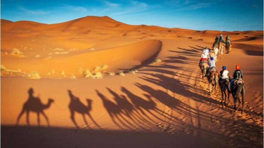 Doha: Desert Safari, Sandboarding, Camel Ride and Inland Sea - The second dune run and the Inland Sea
