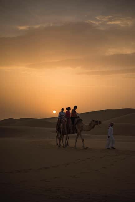 Doha: Desert Safari, Sandboarding, Camel Ride and Inland Sea - Camel riding, with realistic expectations