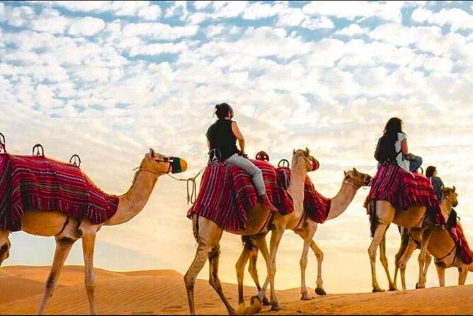 "Doha Desert : Safari, Sandboarding, Camel Ride & Inland Sea" - Sandboarding on Qatar’s smooth dunes