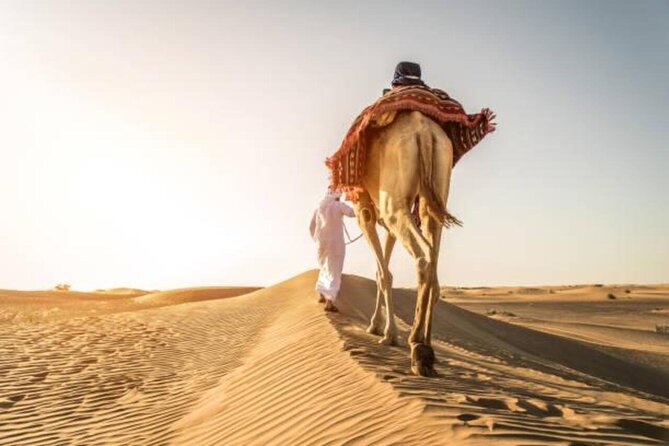 "Doha Desert : Safari, Sandboarding, Camel Ride & Inland Sea" - Should you book the Doha desert safari?