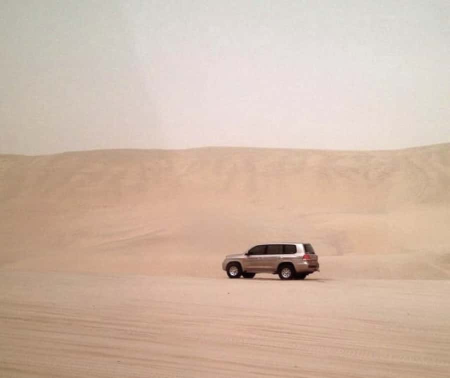 Doha Desert Safari: Sandboarding, Camel Ride & Swimming Fun - A brief camel ride near 24 Beach Road
