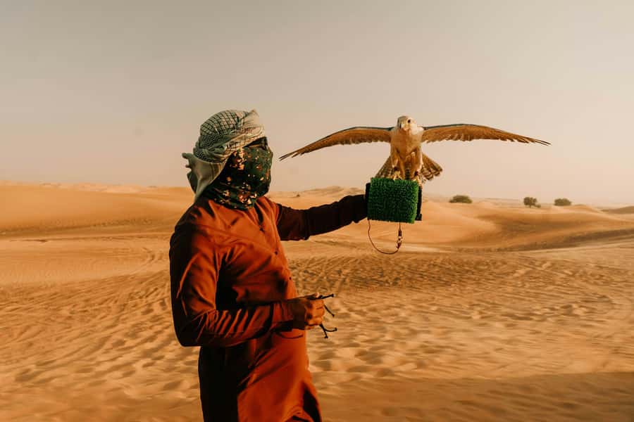 Doha: Desert Safari, Sandboarding, Dune Bashing & Inland Sea - The Inland Sea and the Saudi border view